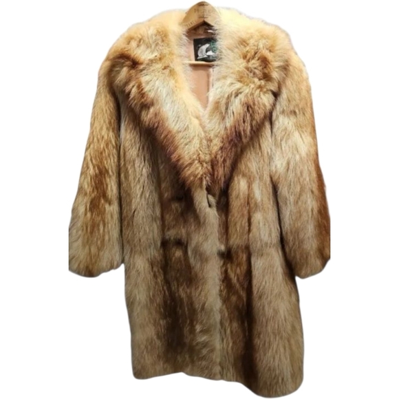 Meet your Posher, Rebecca, Peter, Beau & Duke Golden Retrievers, & Tracey Beagle - Picture 7 of 16